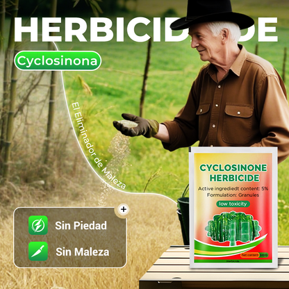 💥El rey del bambú limpiando raíces podridas