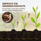 🔥BUY 1 GET 1 FREE🔥Soil Improvement Loosening Agent