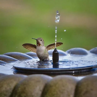 🥳 ¡OFERTA CALIENTE 2026🥳💞 ¡50% DE DESCUENTO!✨ 💝 Bomba de fuente solar compacta para aves – ¡Mantén tu jardín vivo! 🐦️